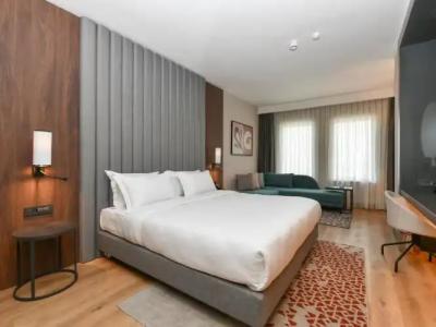 Crowne Plaza ANKARA by IHG - 76