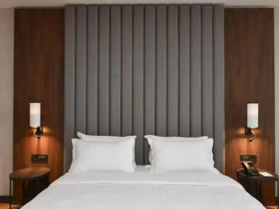 Crowne Plaza ANKARA by IHG - 77