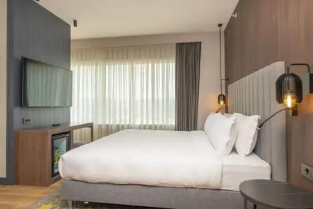 Crowne Plaza ANKARA by IHG - 80