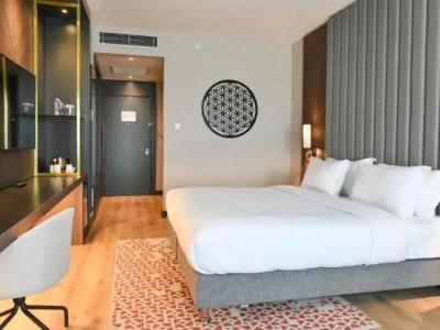 Crowne Plaza ANKARA by IHG - 75