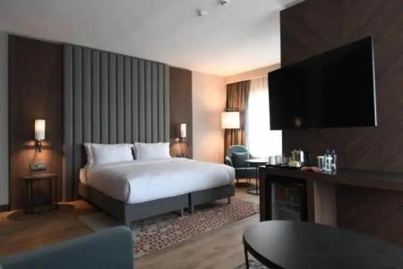 Crowne Plaza ANKARA by IHG - 87