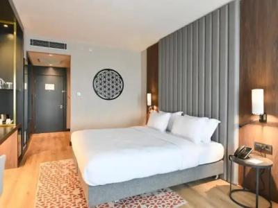 Crowne Plaza ANKARA by IHG - 73