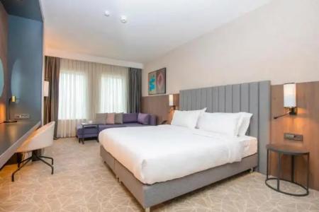 Crowne Plaza ANKARA by IHG - 56