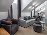 Deluxe Double Attic Apartment
