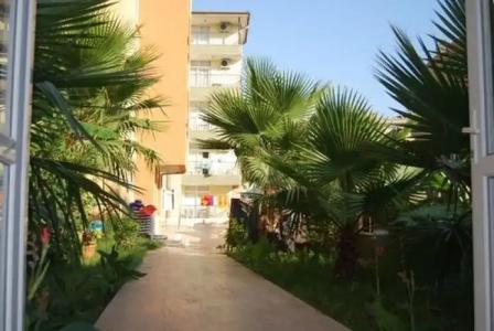 Sun Side Family - 10