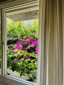 Alaca Butik Otel - 6