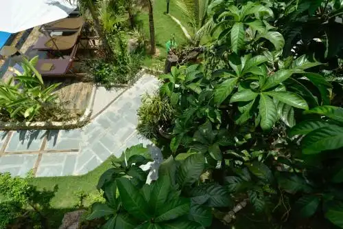 Giraffa Phu Quoc - 43