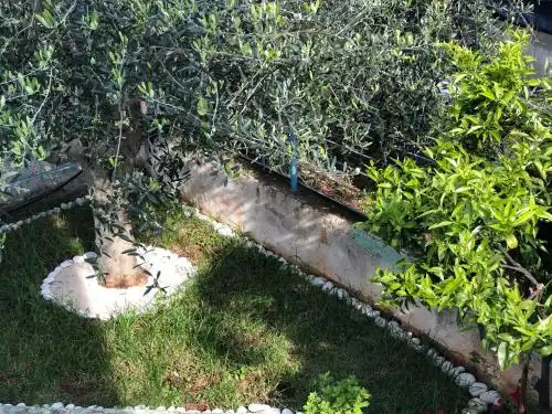 Villa Caca - 18