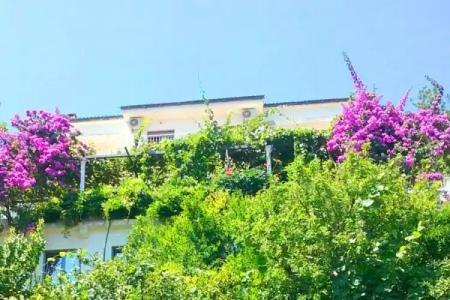 Madra Rooms and Apartments - 3