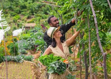 Anasa Wellness Resort - 12