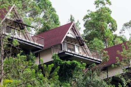 Anasa Wellness Resort - 11