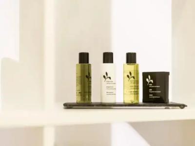 Garner FRIEDRICHSHAFEN by IHG - 14