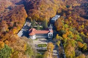 Verkhovyna Resort Medical & Wellness, Kamenitsa