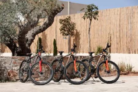 Volta Suites and Villas - 16