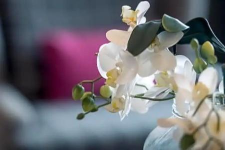 Torghele's Wald & Fluh - 29