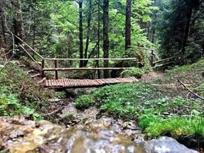 Torghele's Wald & Fluh - 27