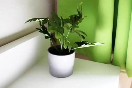 Rheinsteig Quartier by bestprices - 13