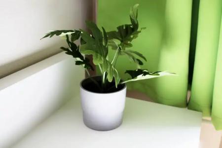 Rheinsteig Quartier by bestprices - 29