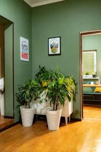 Evergreen Hostel - 32