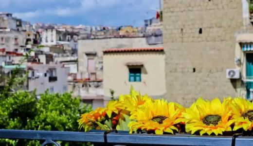 Terra Mia Savoia B&B - 10