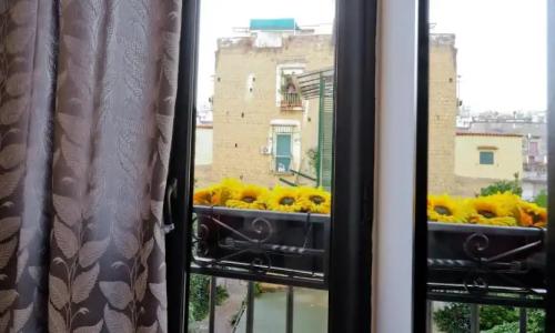 Terra Mia Savoia B&B - 6