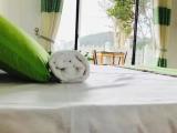 Deluxe Double or Twin Room with Mountain View