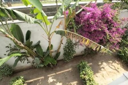 Ala Grand Residence - 111