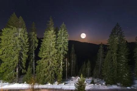 Kamena Pamporovo - 17