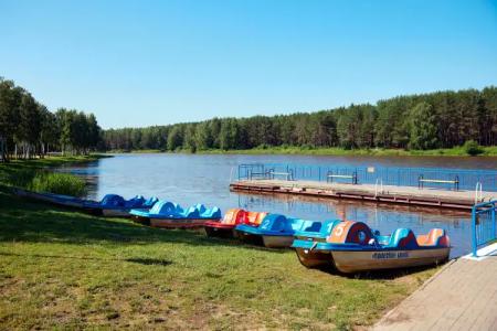 Sanatorium Sosnovyy bor - 25