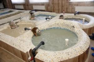 Sanatorium Tanyp, Novoyansaitovo