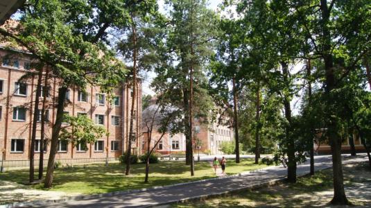 Sanatorium Zolotye peski - 14