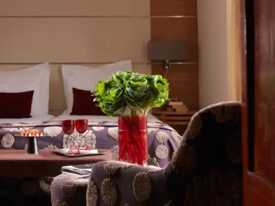 Divani Escape- Adults only - 45