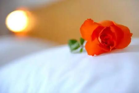 Delfinia & Bungalows - 57