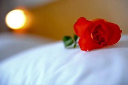 Delfinia & Bungalows - 53