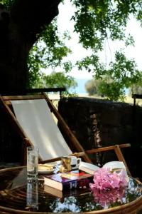 Delfinia & Bungalows - 81