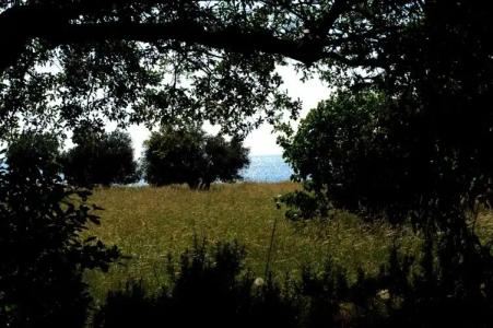 Delfinia & Bungalows - 71