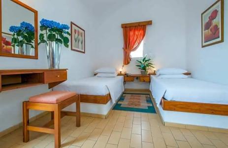 Delfinia & Bungalows - 104