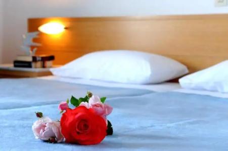 Delfinia & Bungalows - 77