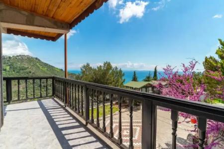 Assos Kartal Yuvasi Boutique - 74