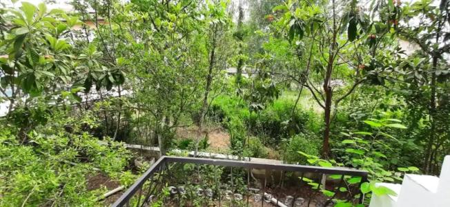 Tango Pansiyon Guest house - 23