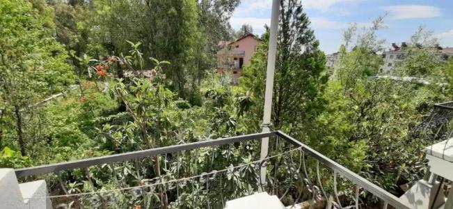 Tango Pansiyon Guest house - 81