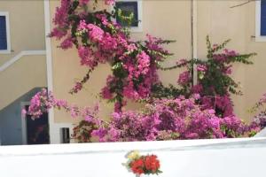 Proteas Hotel, Kamari