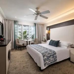 The Palms & Spa - 100