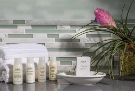 The Palms & Spa - 15