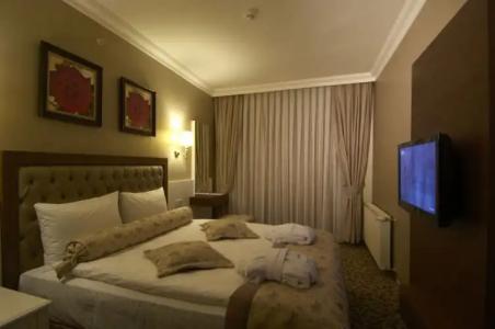 Safran Thermal Resort Spa & Conveention - 50