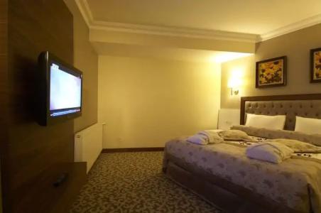 Safran Thermal Resort Spa & Conveention - 61