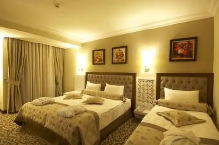 Safran Thermal Resort Spa & Conveention - 46