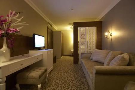 Safran Thermal Resort Spa & Conveention - 57