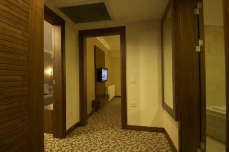 Safran Thermal Resort Spa & Conveention - 58