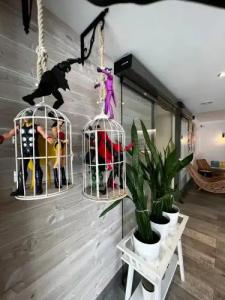 Hey Peñíscola - 13